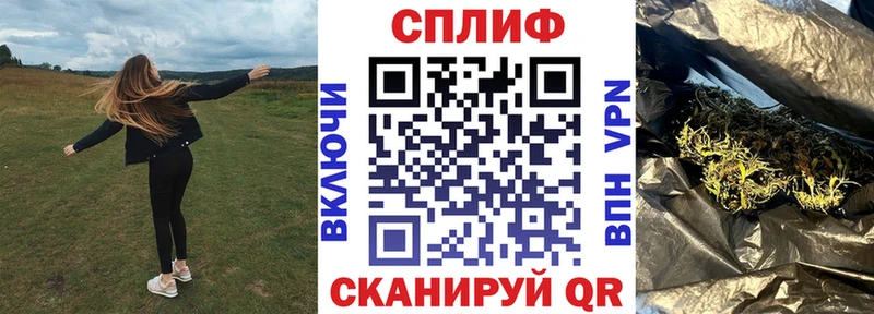 Продажа наркотиков Черноголовка Амфетамин Псилоцибиновые грибы Кокаин ГАШ Канабис Меф мяу мяу