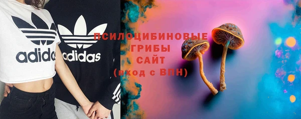 скорость Пестово