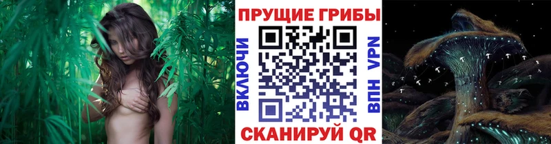 Галлюциногенные грибы мицелий что такое наркотик KRAKEN онион Черноголовка