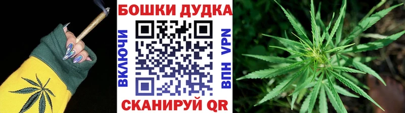 Шишки марихуана планчик  купить наркотик  Черноголовка 